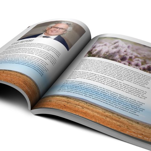 QSNTS SuckerPunch Design Annual Report Design